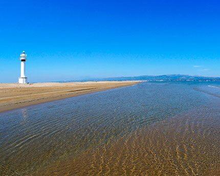 Apartamento Delta Del Ebro 암포스타 외부 사진